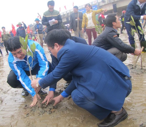 ЦК СКМ развернул праздник посадки деревьев в провинции Хатинь  - ảnh 1